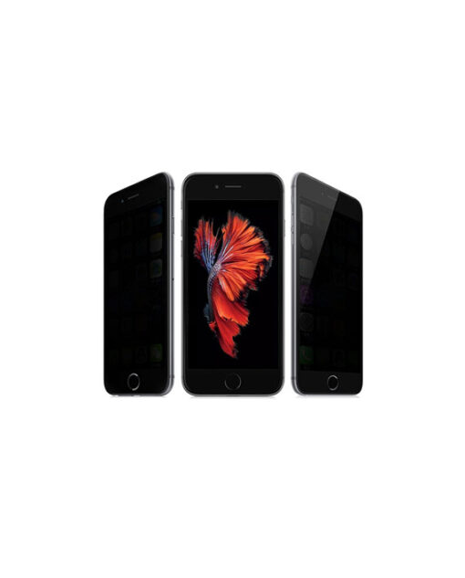 iPhone 5 5s SE kaitseklaas privaatsusfilter ekraani kaitse 1