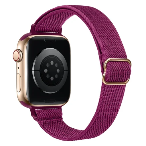 Apple Watch rihm nailon 384041 pitaia