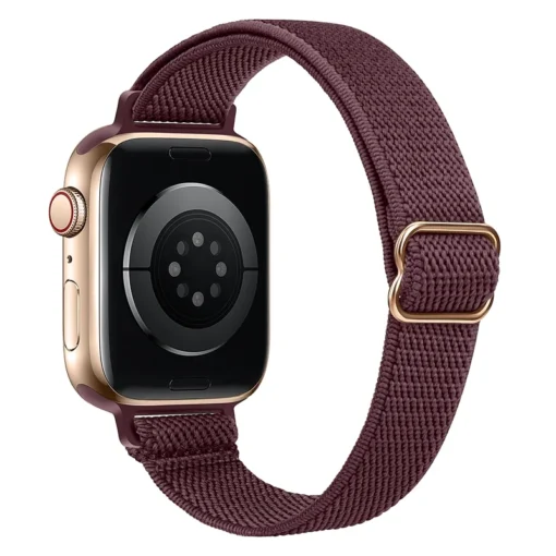 Apple Watch rihm nailon 384041 veinipunane