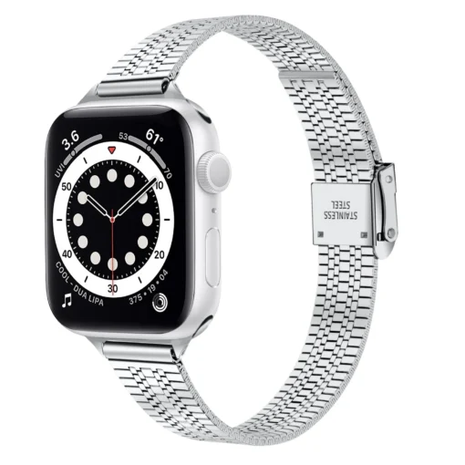 Apple Watch rihm roostevabast terasest 384041mm silver